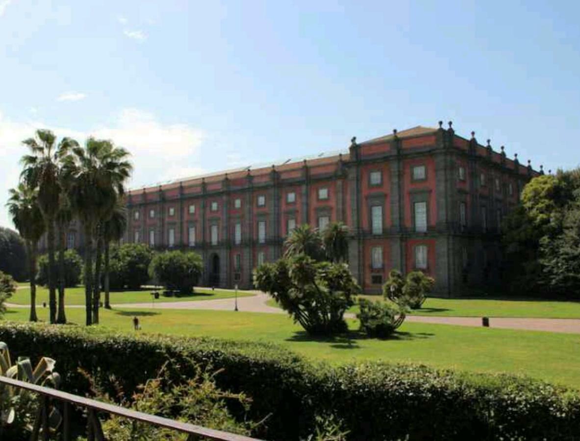 Linea1 * Napoli